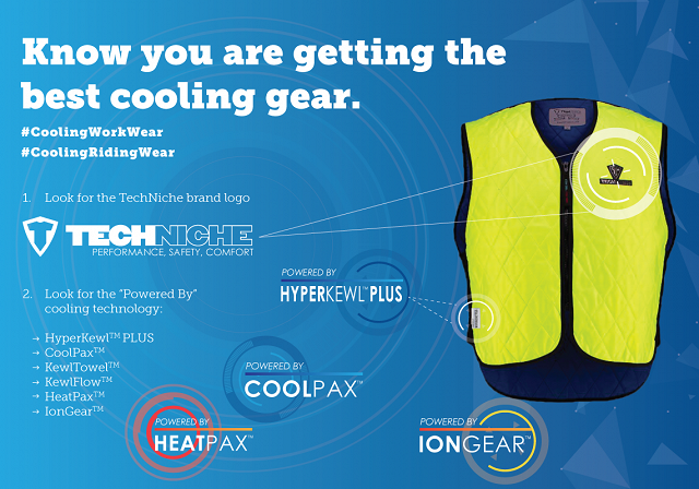 Look for the TechNiche Logo and the Technology logo