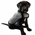 Product image for TechNiche® Evaporative Cooling Dog Coats